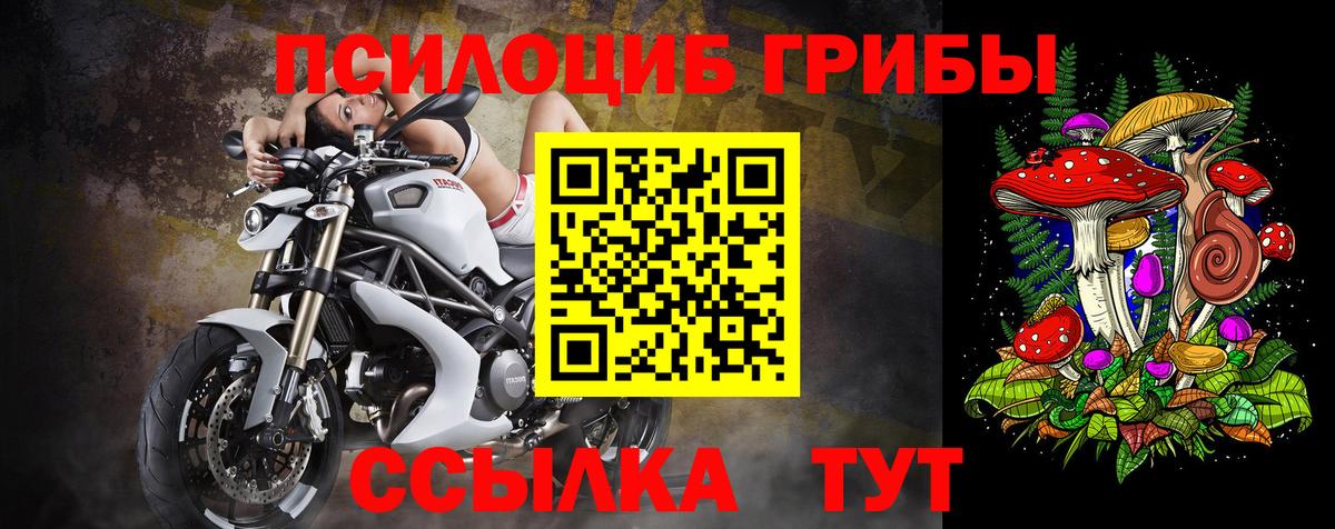 Галлюциногенные грибы Cubensis Ливны