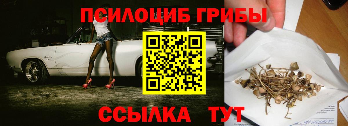 Псилоцибиновые грибы Psilocybe  где найти   Ливны  Вход с VPN 